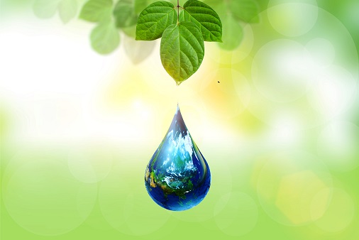 merveilleuses huiles végétales merveilleuses huiles végétales